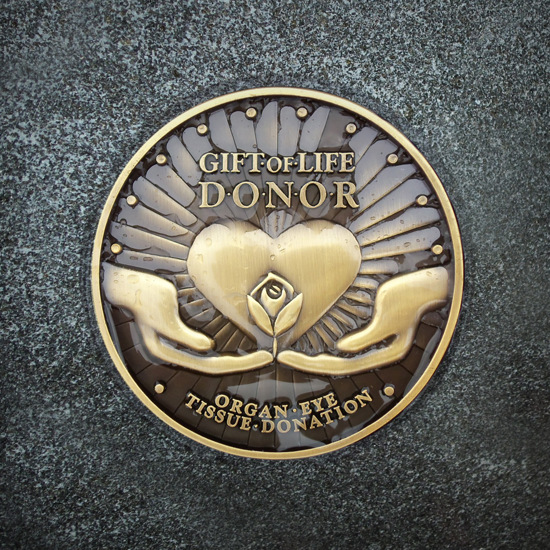 Bronze embedded emblem